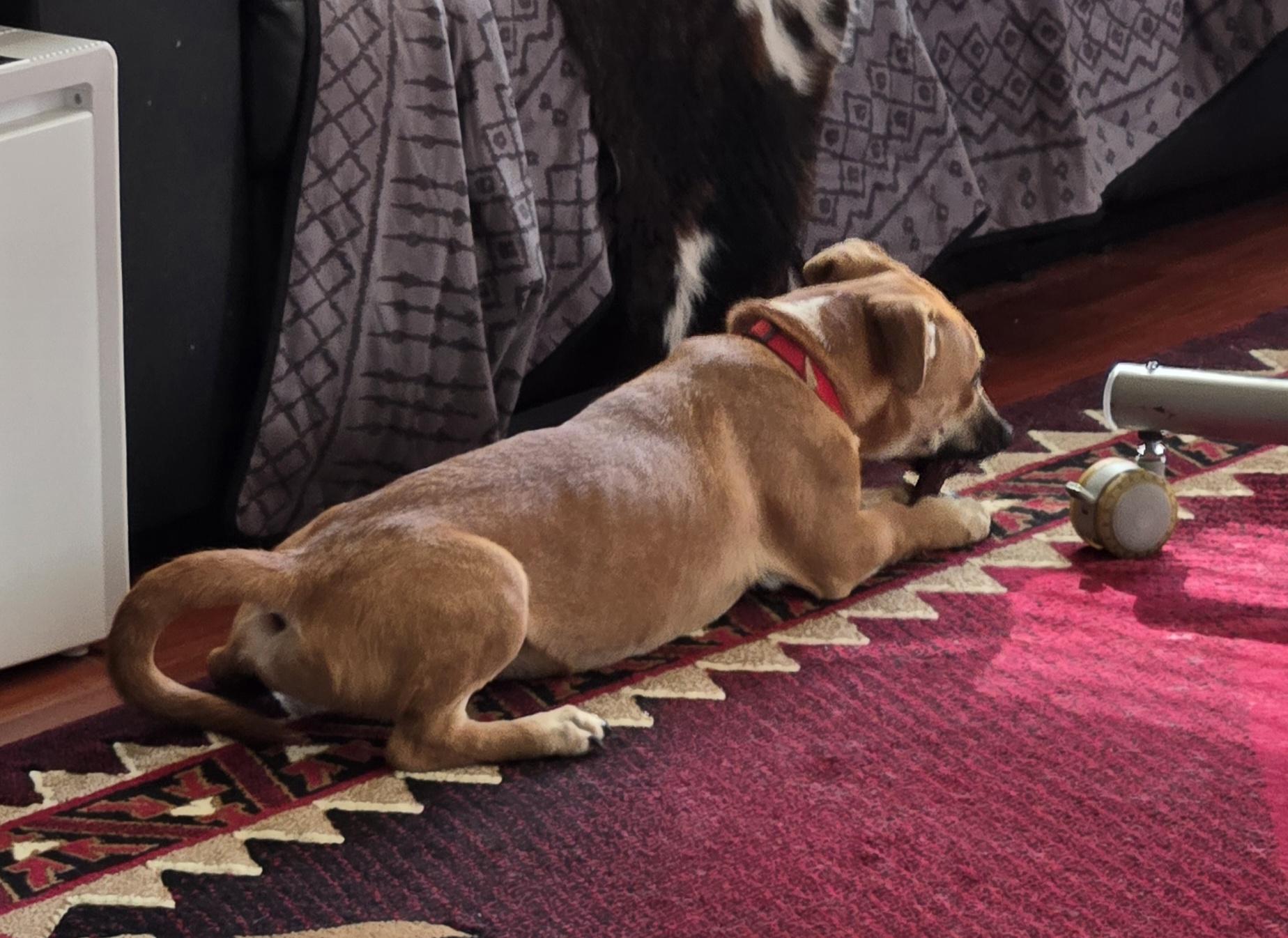 Topaz  Local Dec thumbnail 2