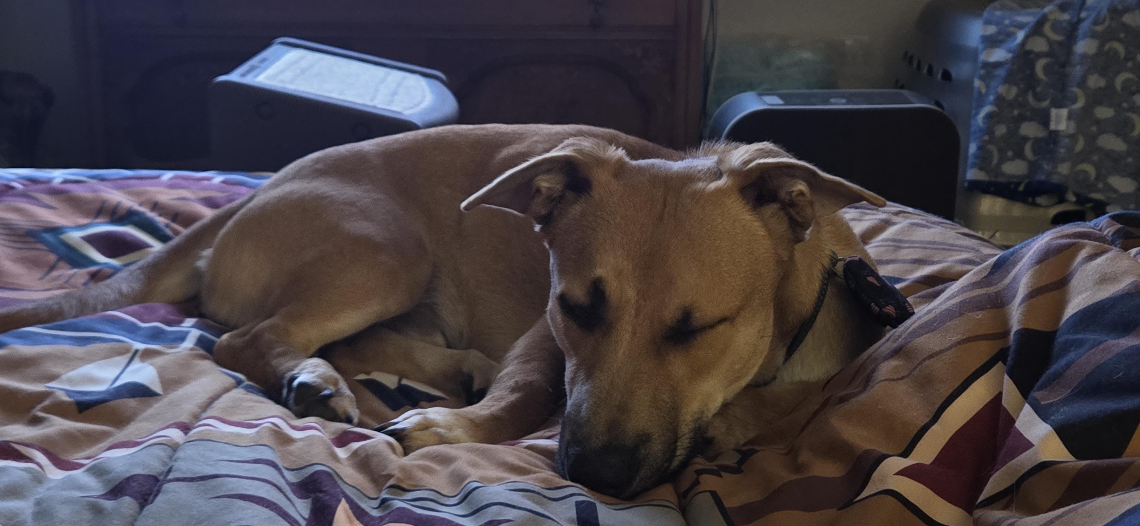 Topaz  Local Dec thumbnail 4