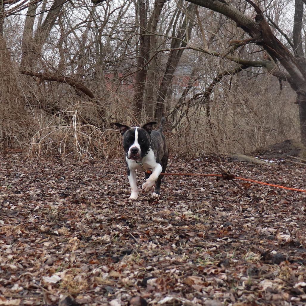 Dean — thumbnail 2