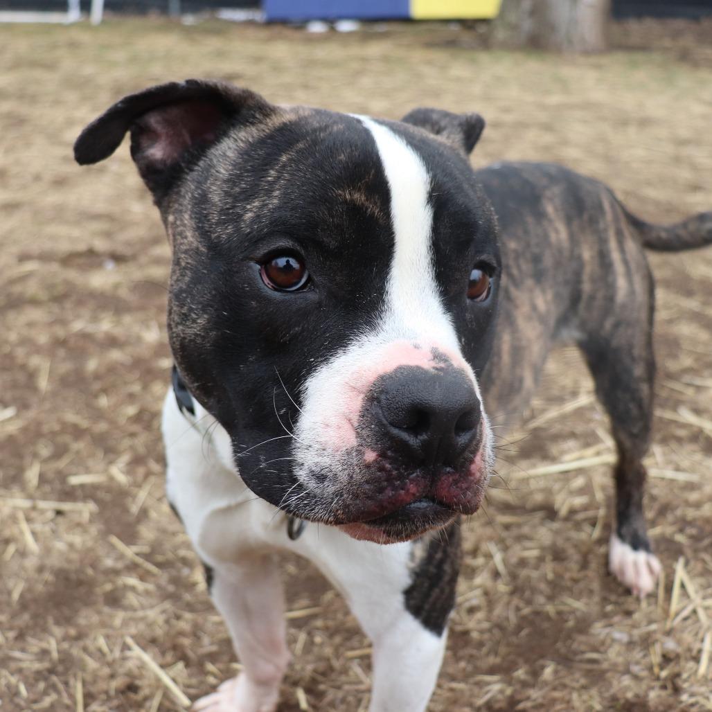 Dean — thumbnail 3