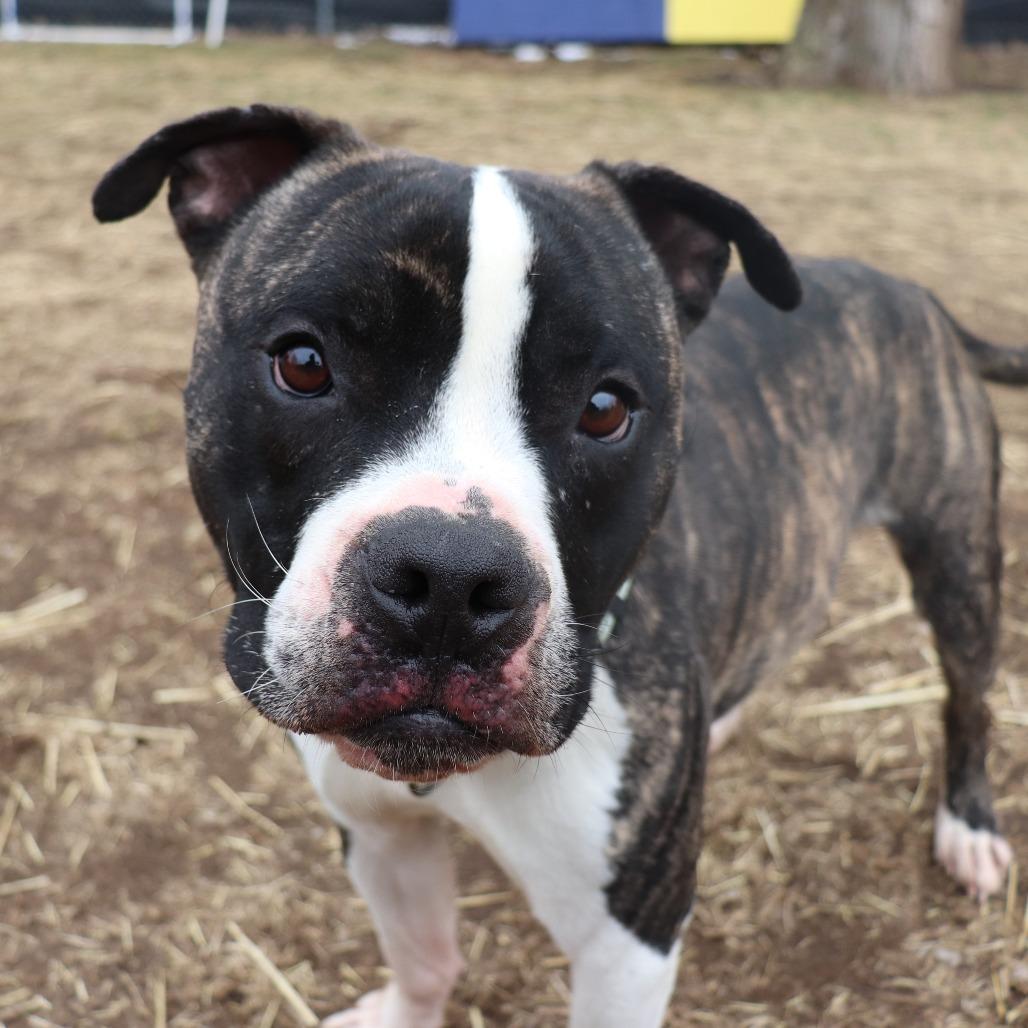 Dean — thumbnail 4