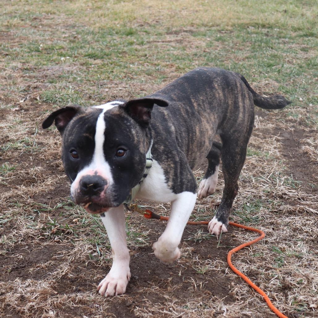 Dean — thumbnail 5