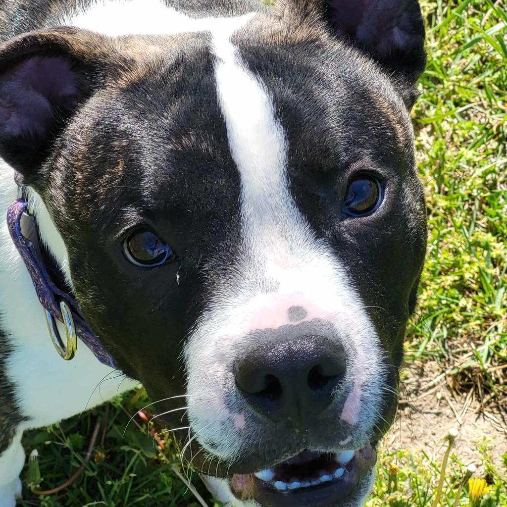 Dean — thumbnail 6