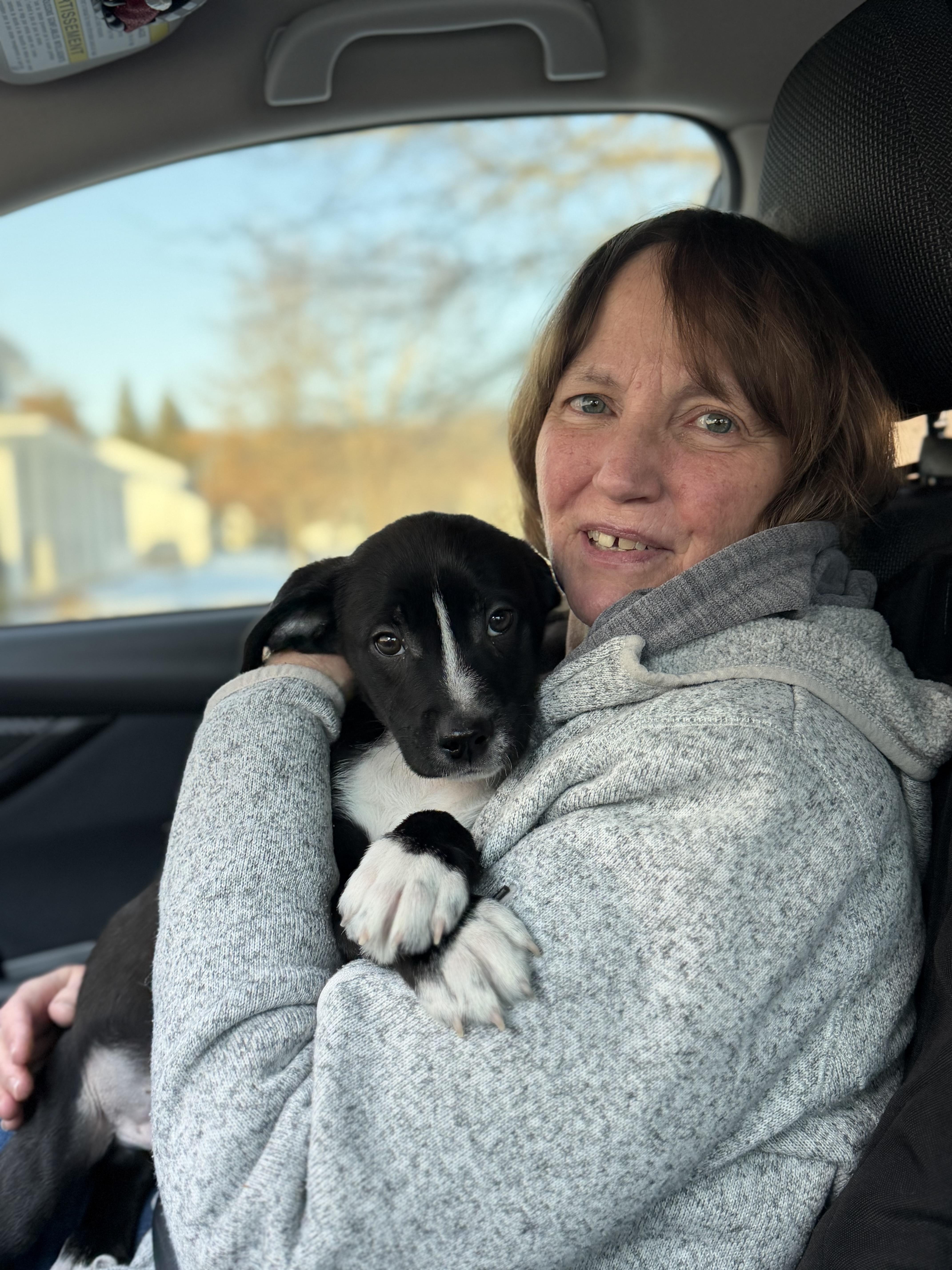 Enlarge Brussel Sprout , a ADOPTABLE mixed breed in Seville, OH image 3/4