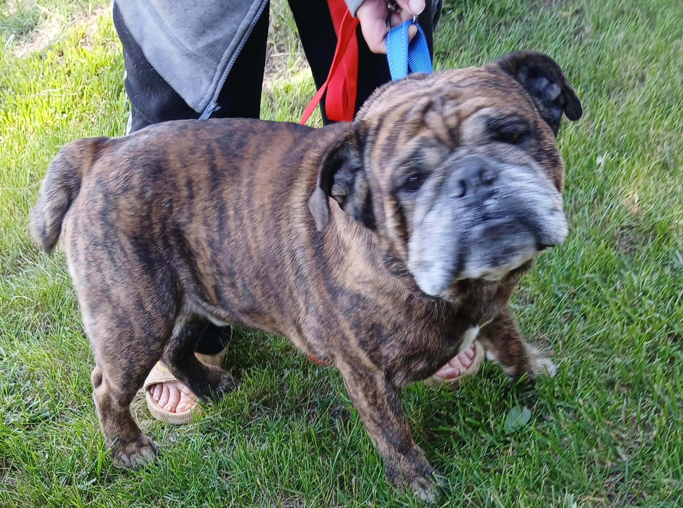 Winston, Adult Male unknown