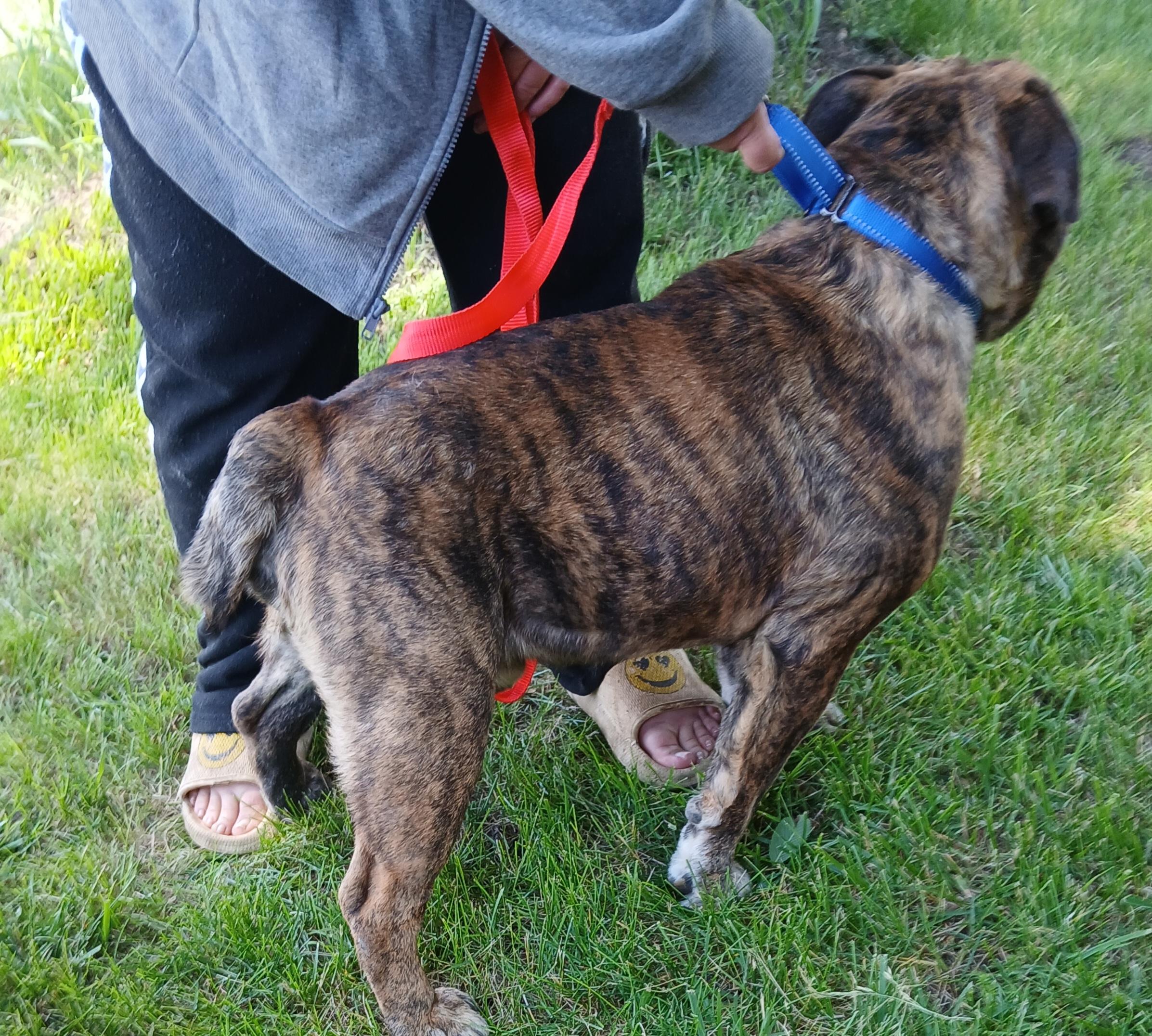 Winston photo 2