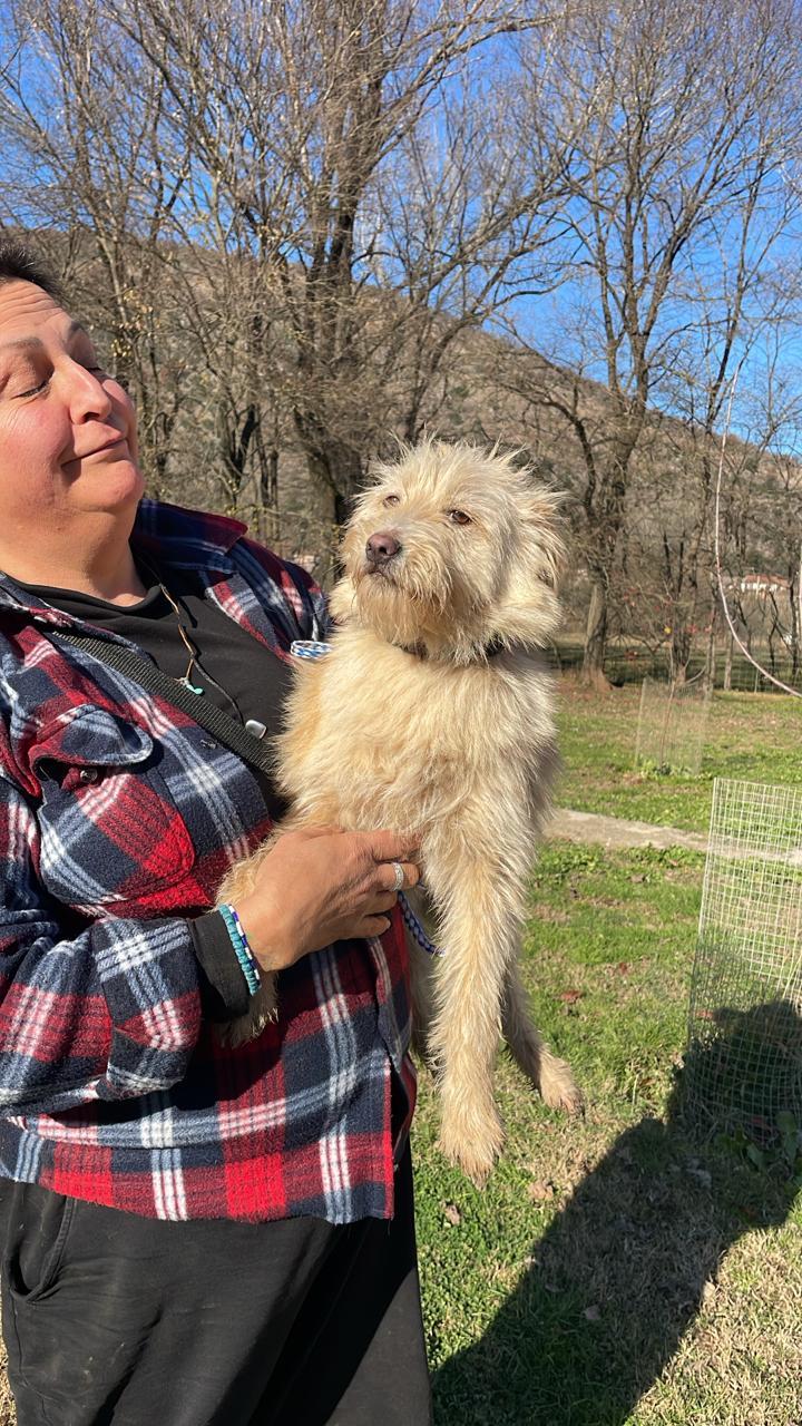 Snow — thumbnail 2