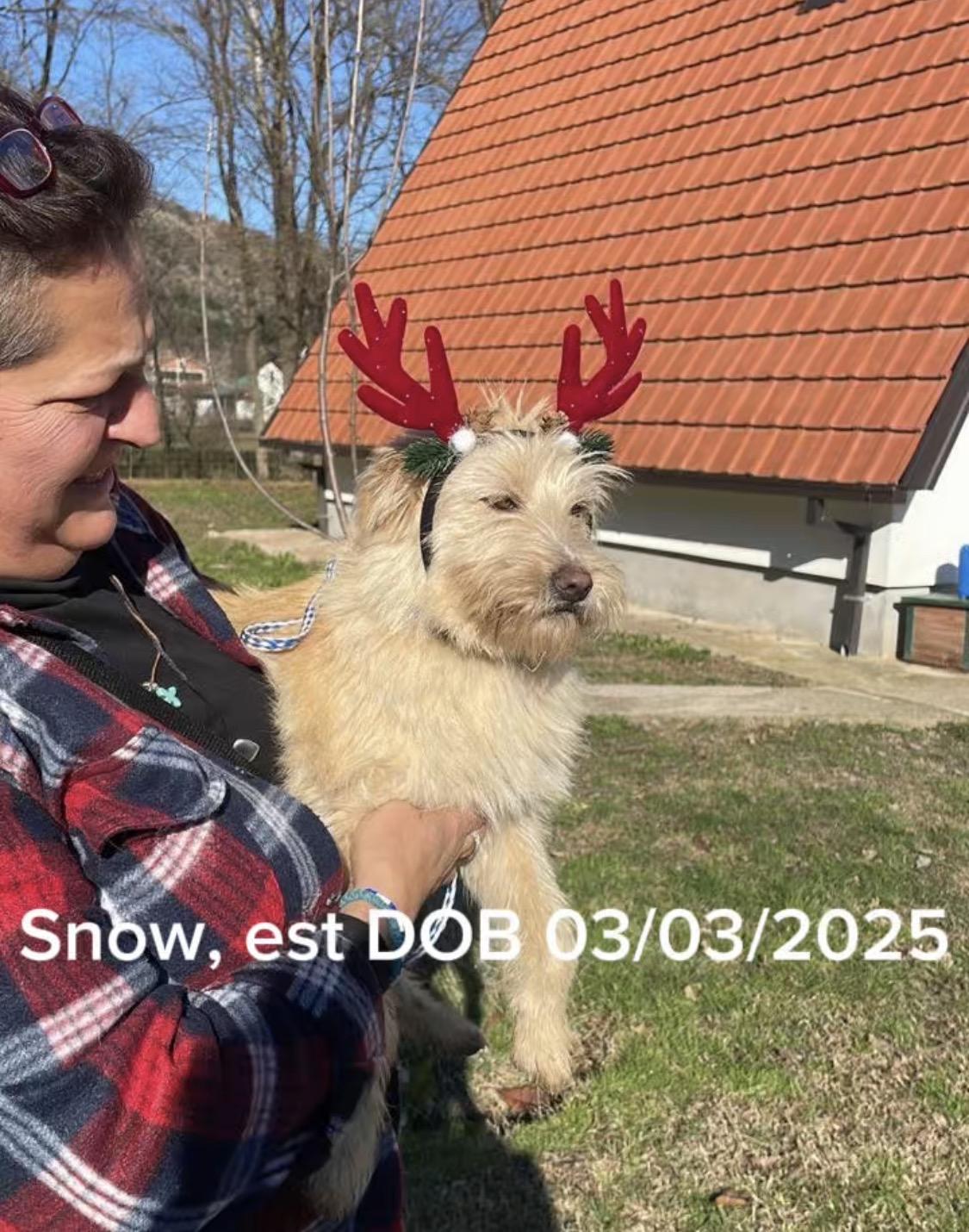 Snow — thumbnail 3