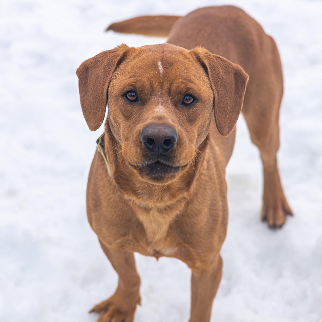 Cider — thumbnail 3