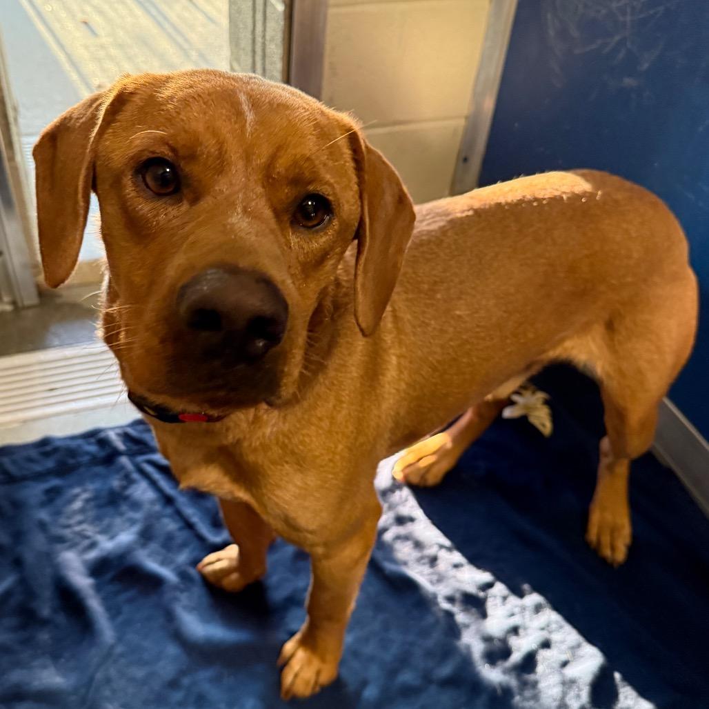 Cider — thumbnail 4