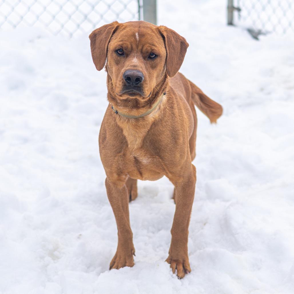 Cider — thumbnail 6