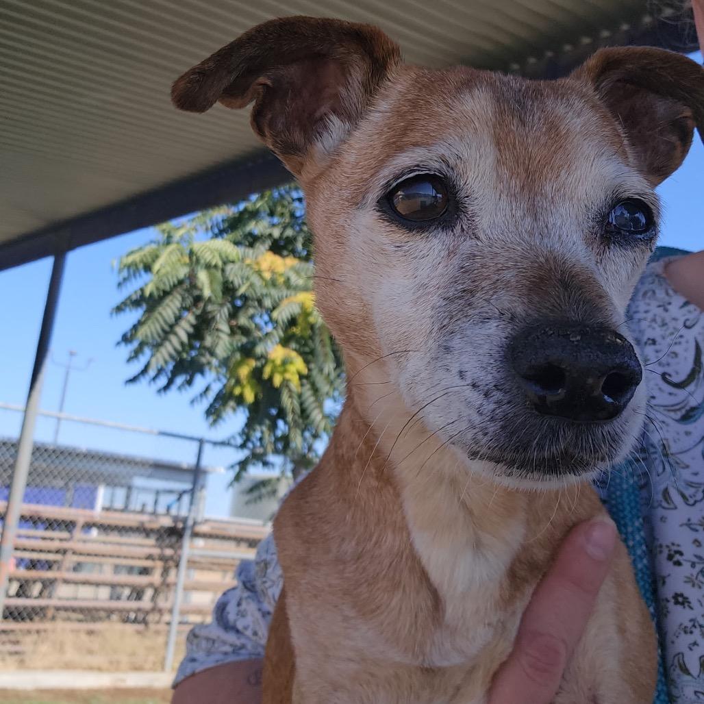 Baguette — thumbnail 4