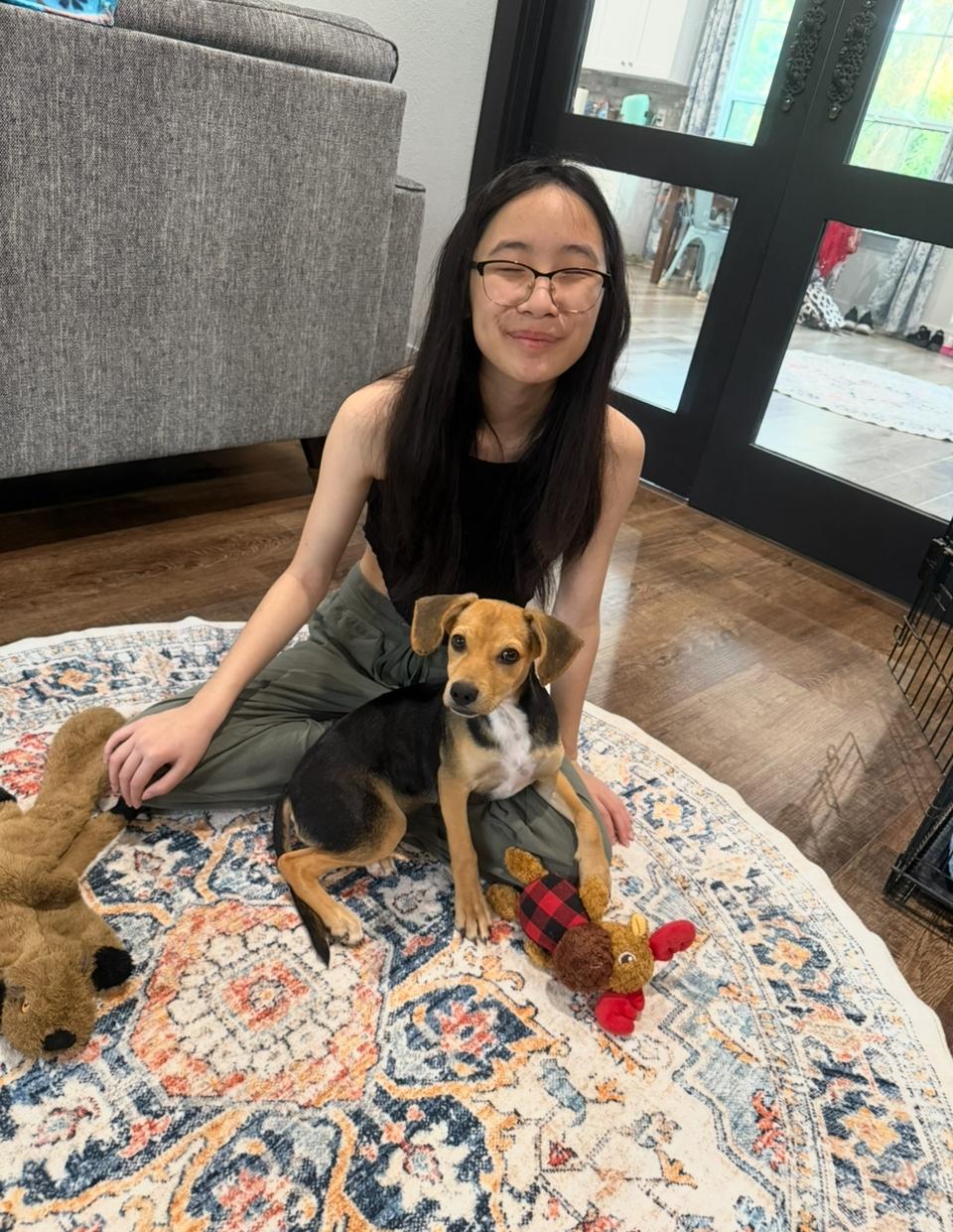 Enlarge Graham - The Super Cuddler, a Adoptable mixed breed in Denver, CO image 4/6