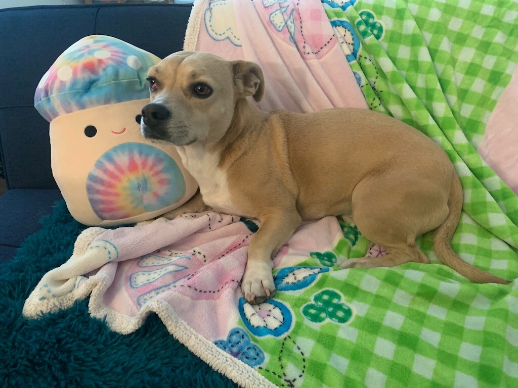 TOBY photo 2
