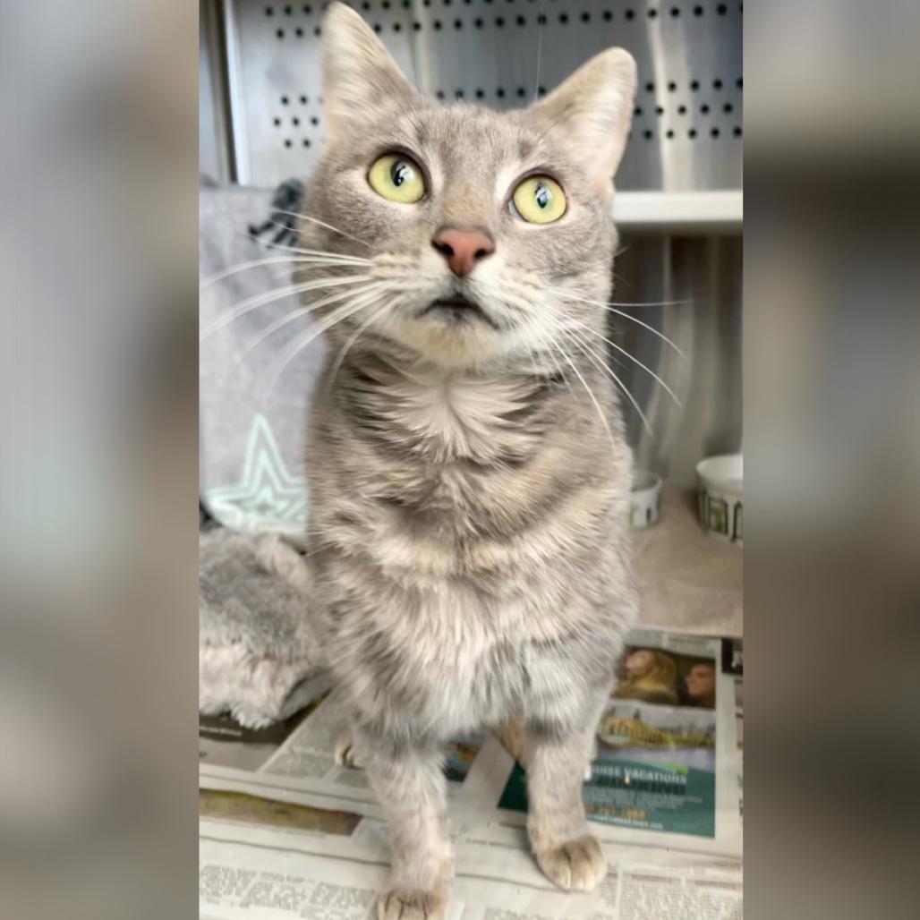 Dew Drop — thumbnail 2