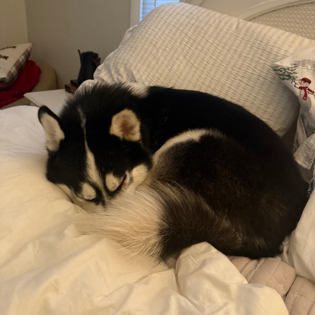 Irwin — thumbnail 2