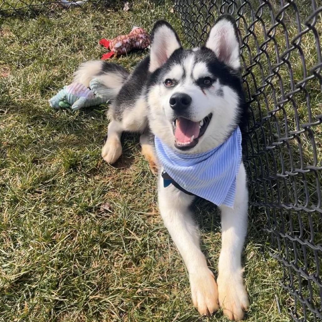 Irwin — thumbnail 3