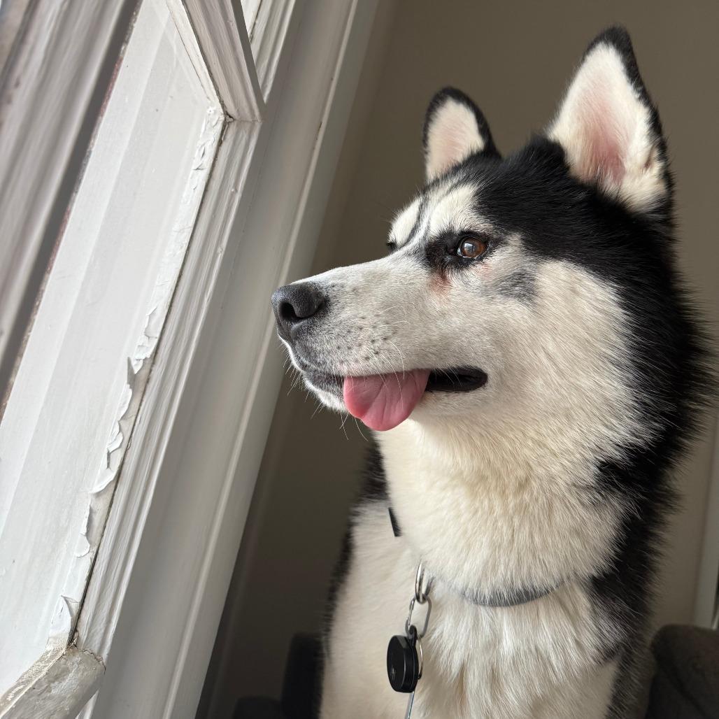 Irwin — thumbnail 4