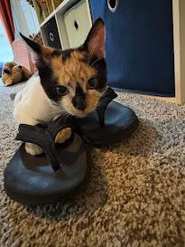 Snickers