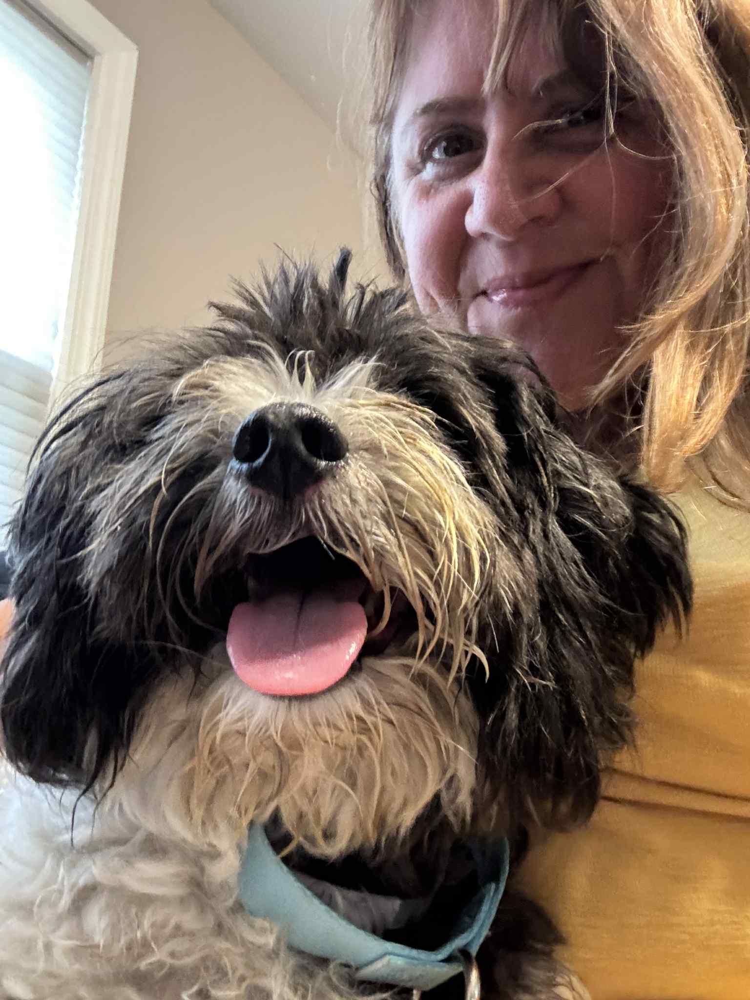 Enlarge Khloe, an adopted mixed breed in Millstone, NJ image 6/6