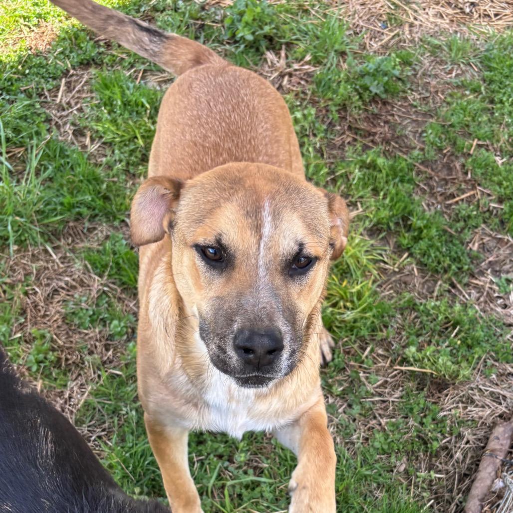 Mr. Tiny — thumbnail 5