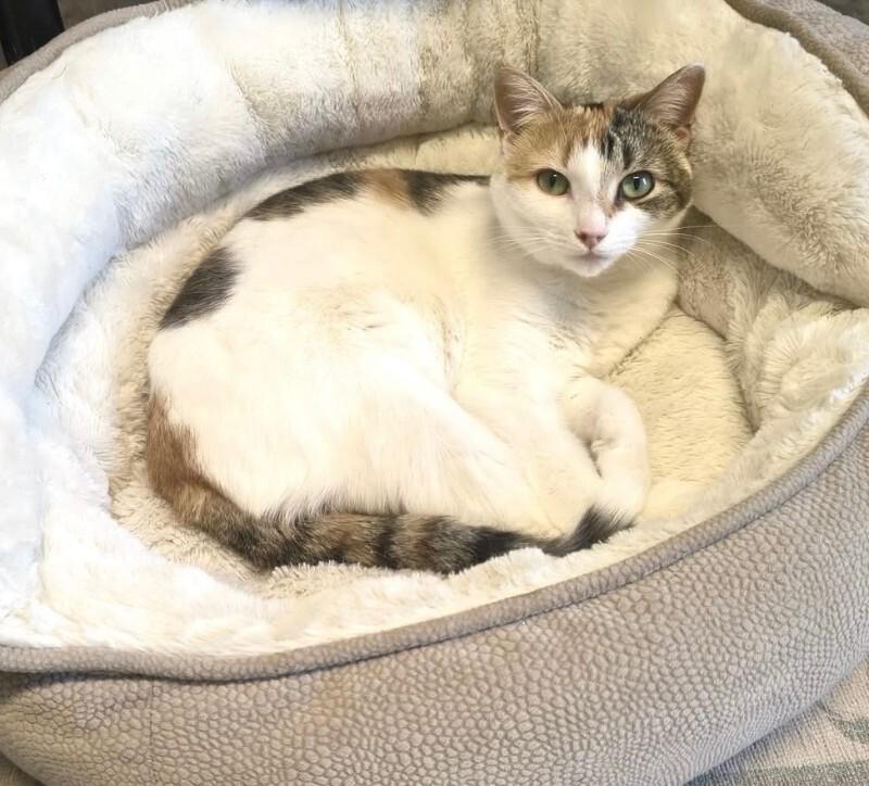 FAITH — thumbnail 2