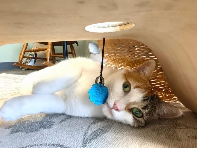 FAITH — thumbnail 3