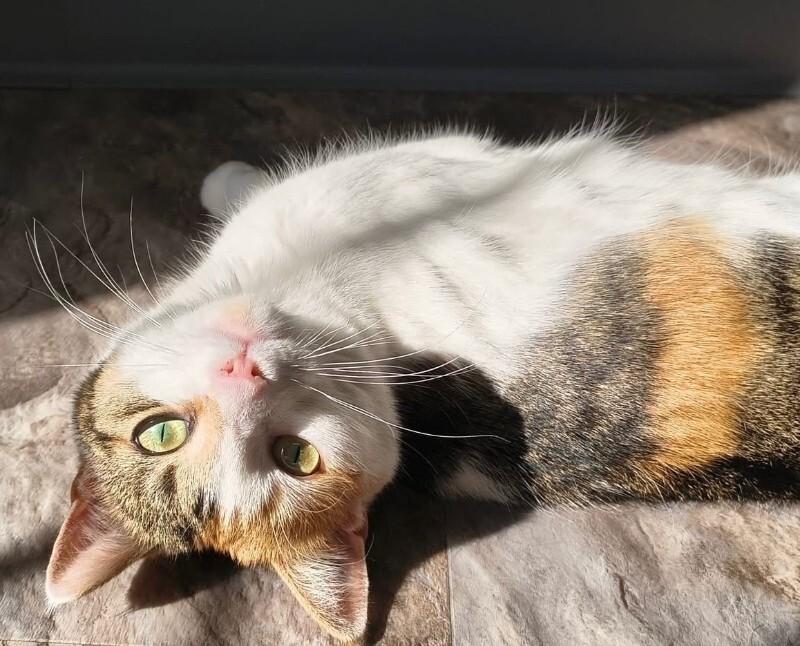 FAITH — thumbnail 4