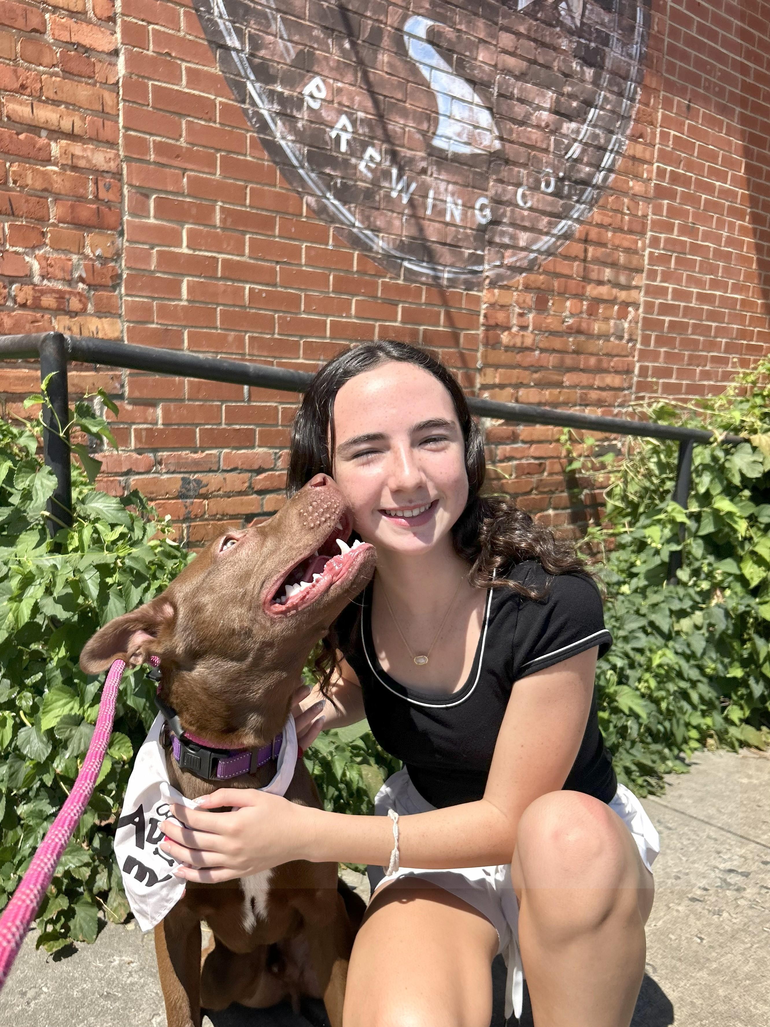 Radar, a Adoptable mixed breed in Clayton, NC image 6/6