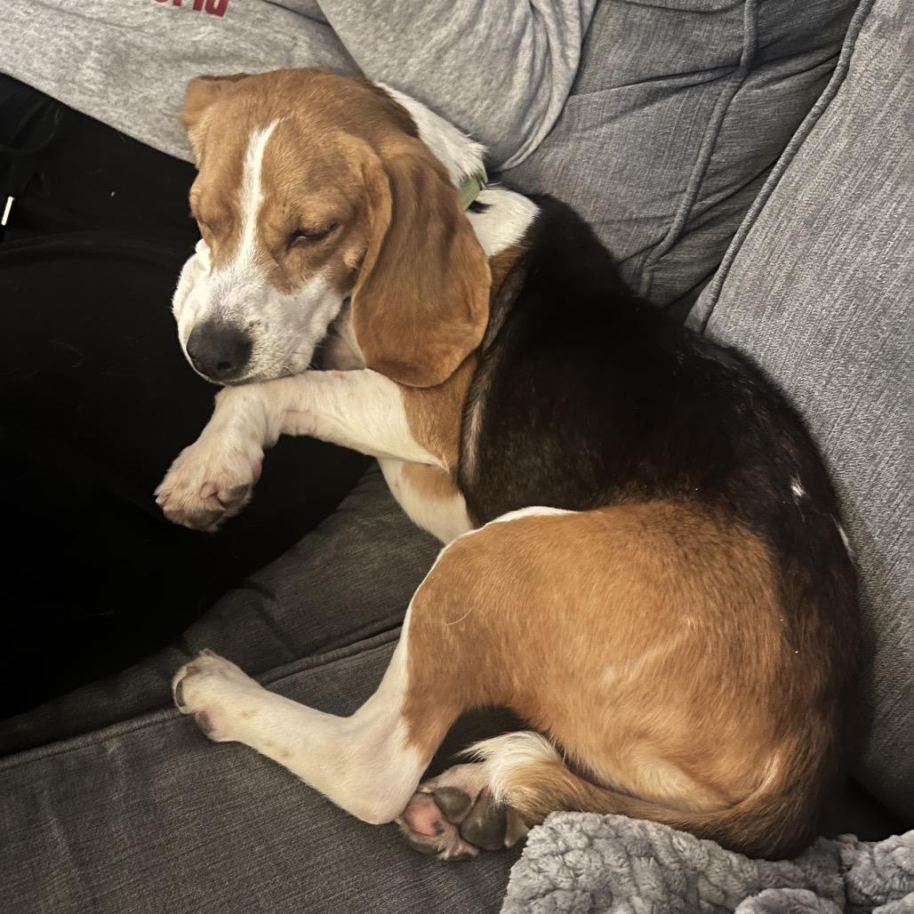 Bastian 22050 — thumbnail 3