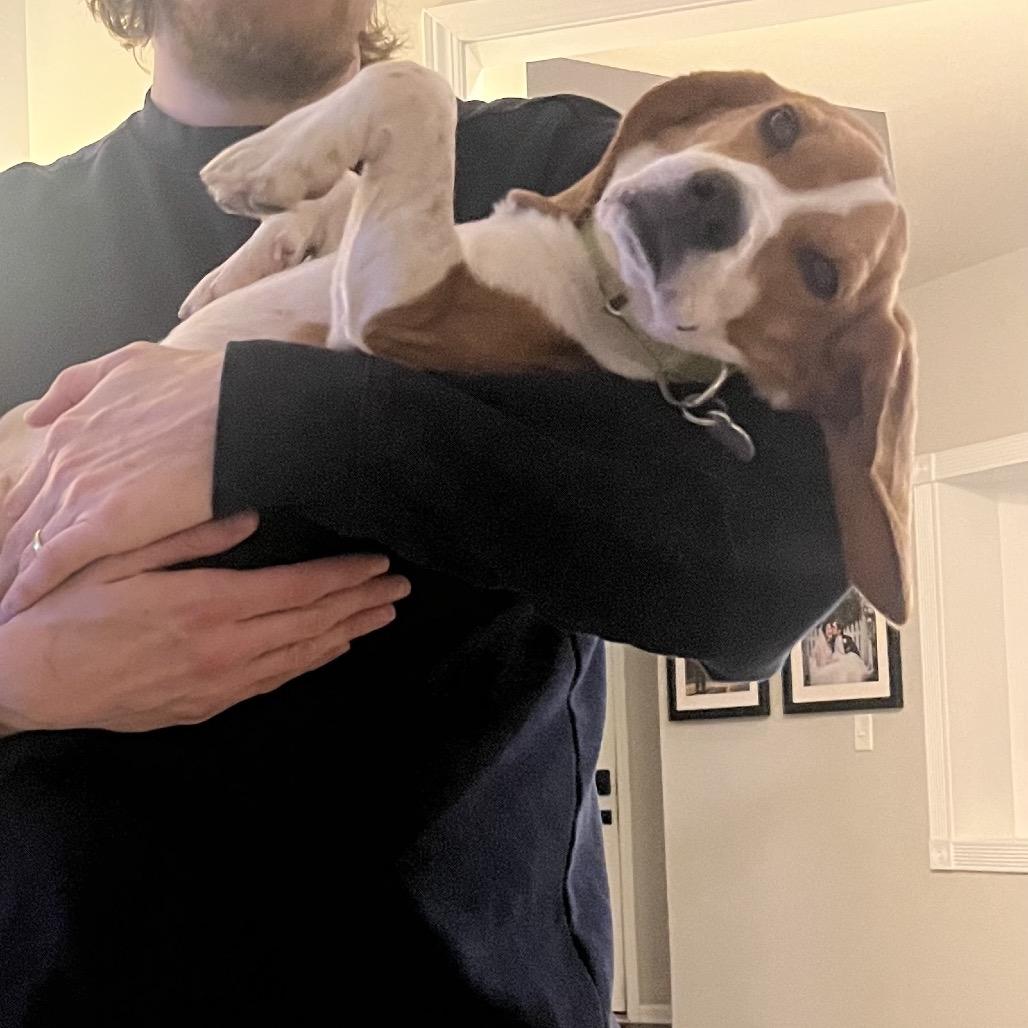 Bastian 22050 — thumbnail 4