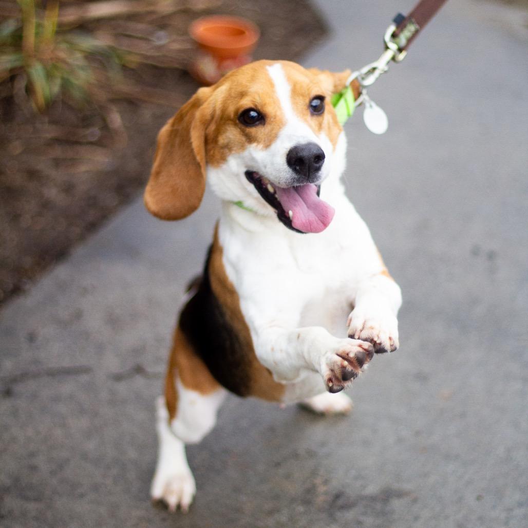 Bastian 22050 — thumbnail 5