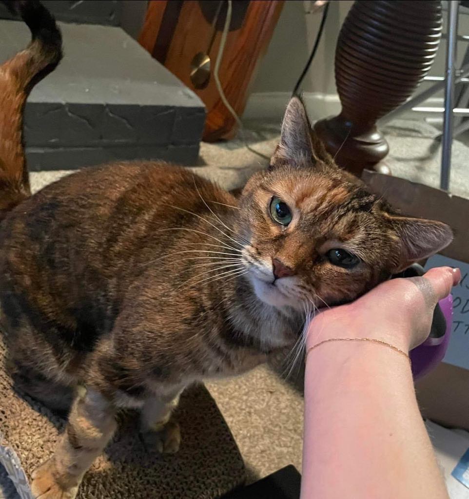 Mimi