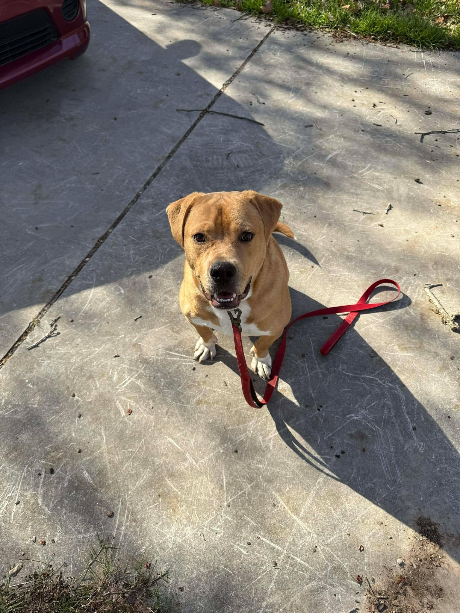 King — thumbnail 4