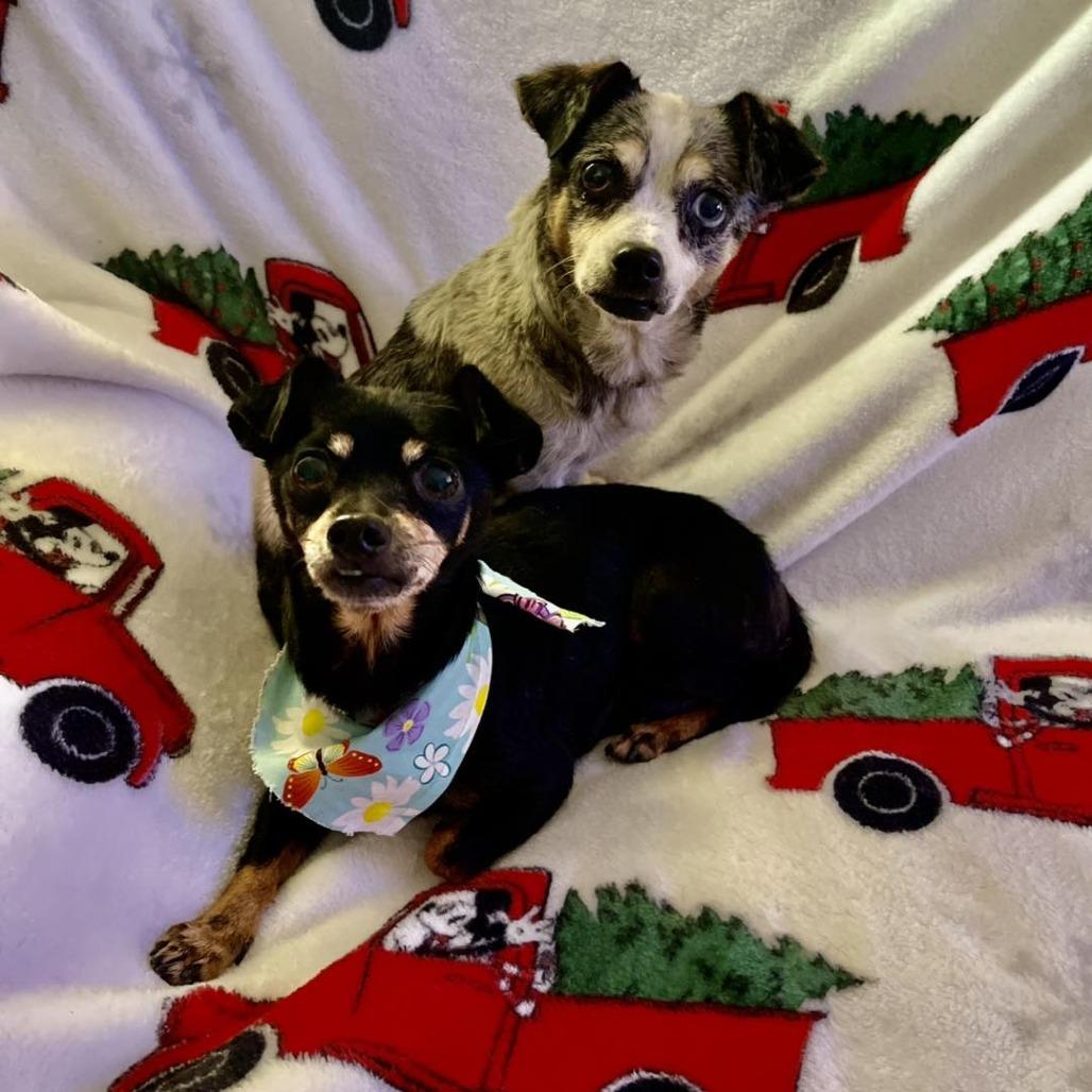 Kira — thumbnail 4