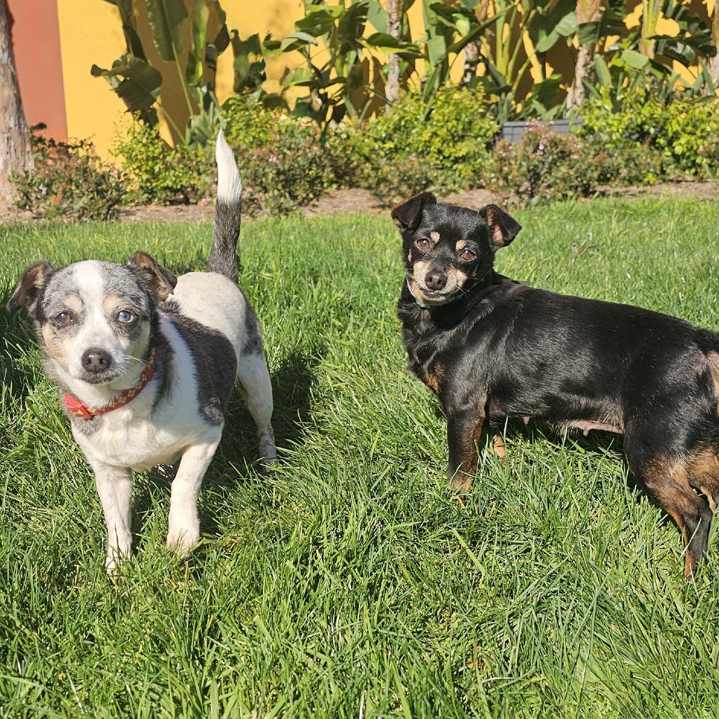 Kira — thumbnail 5