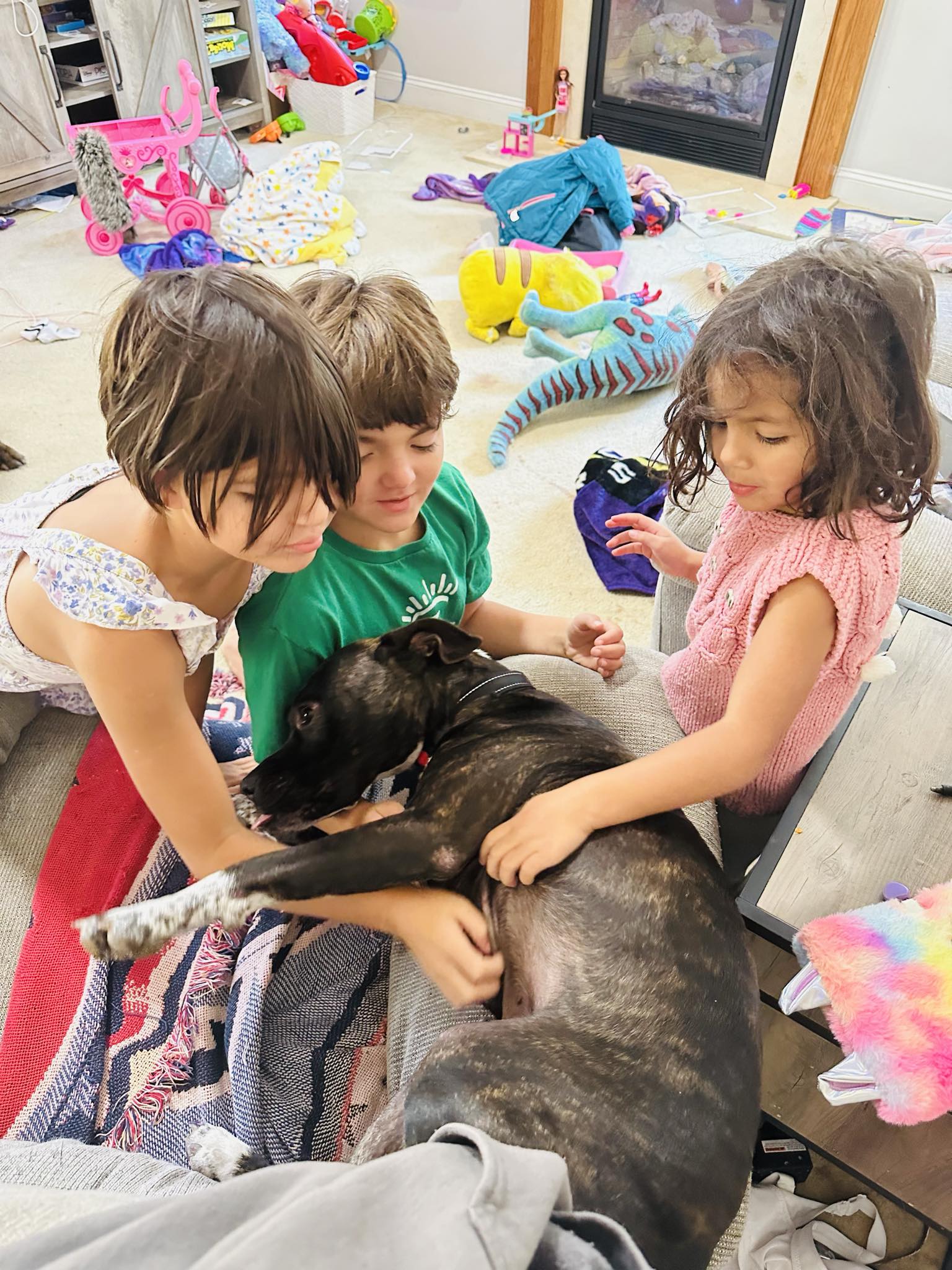 Rocket, a Adopted American Staffordshire Terrier in Chesapeake Beach, MD image 2/6