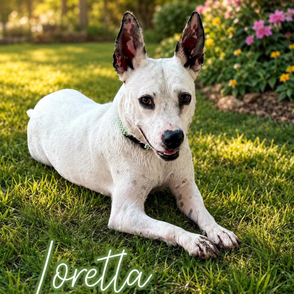 Loretta photo