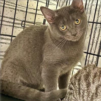 Dustin — thumbnail 2