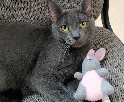 Dustin — thumbnail 3