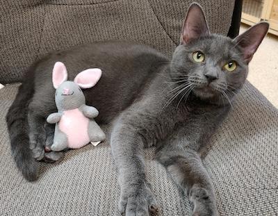 Dustin — thumbnail 4