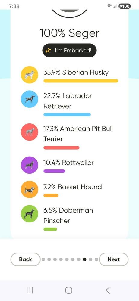 Enlarge Seger, a Adoptable mixed breed in Saginaw, MI image 3/6