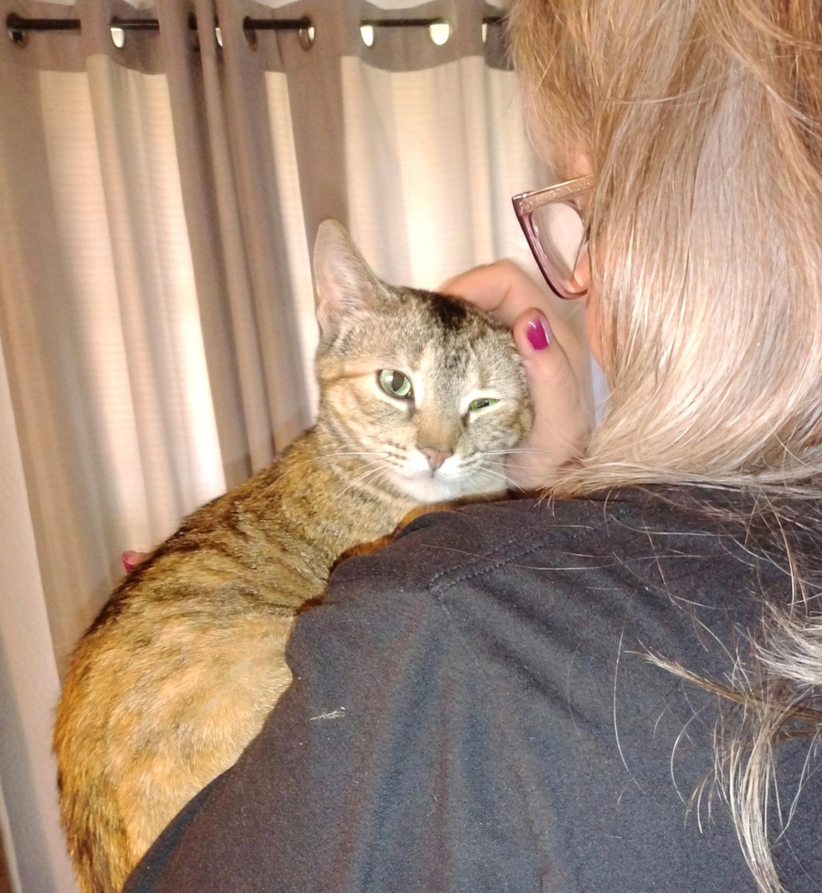 Mona, a Adoptable mixed breed in Magnolia Springs, AL image 3/3