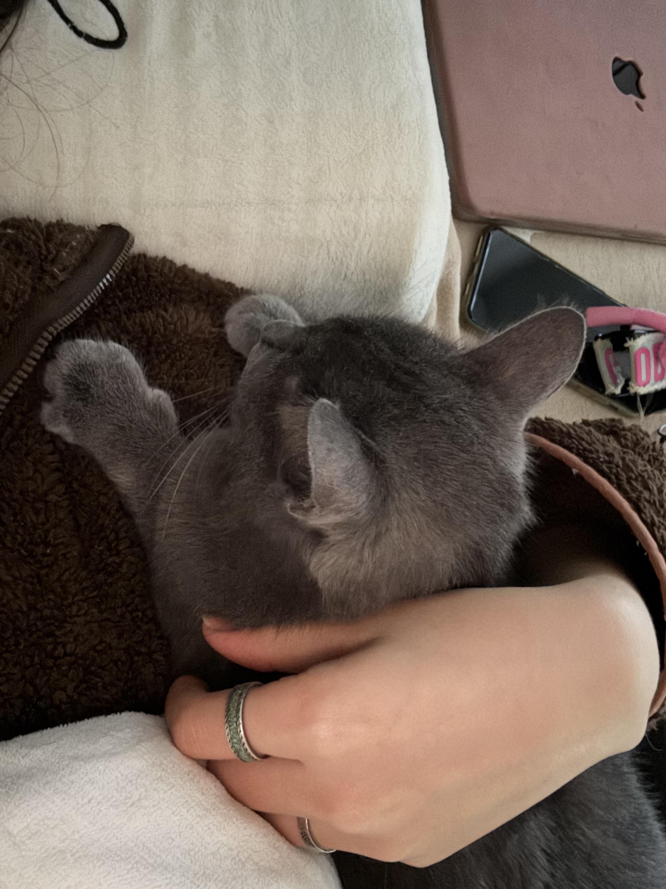 Solstice And Eclipse thumbnail 2