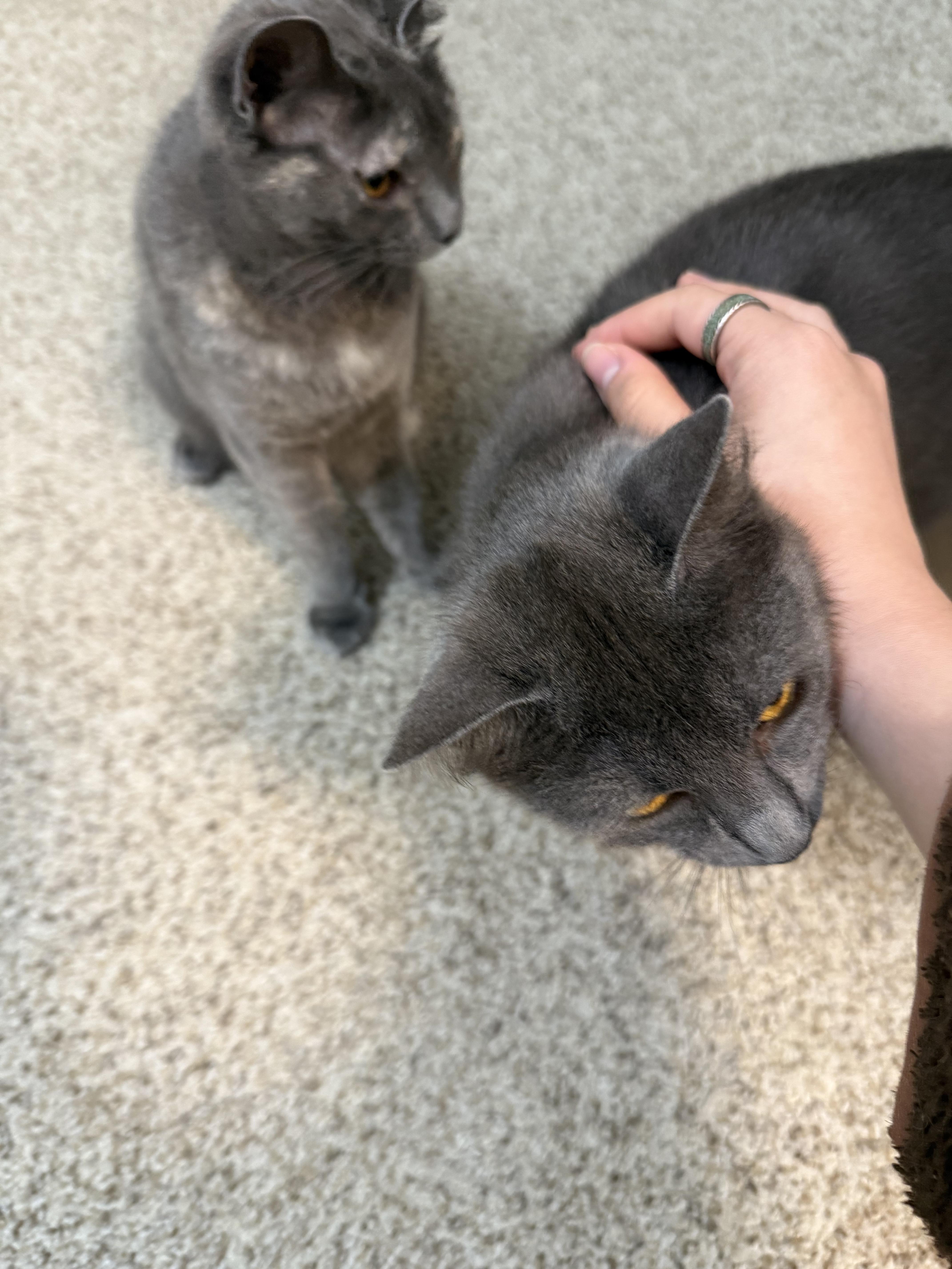 Solstice And Eclipse thumbnail 3