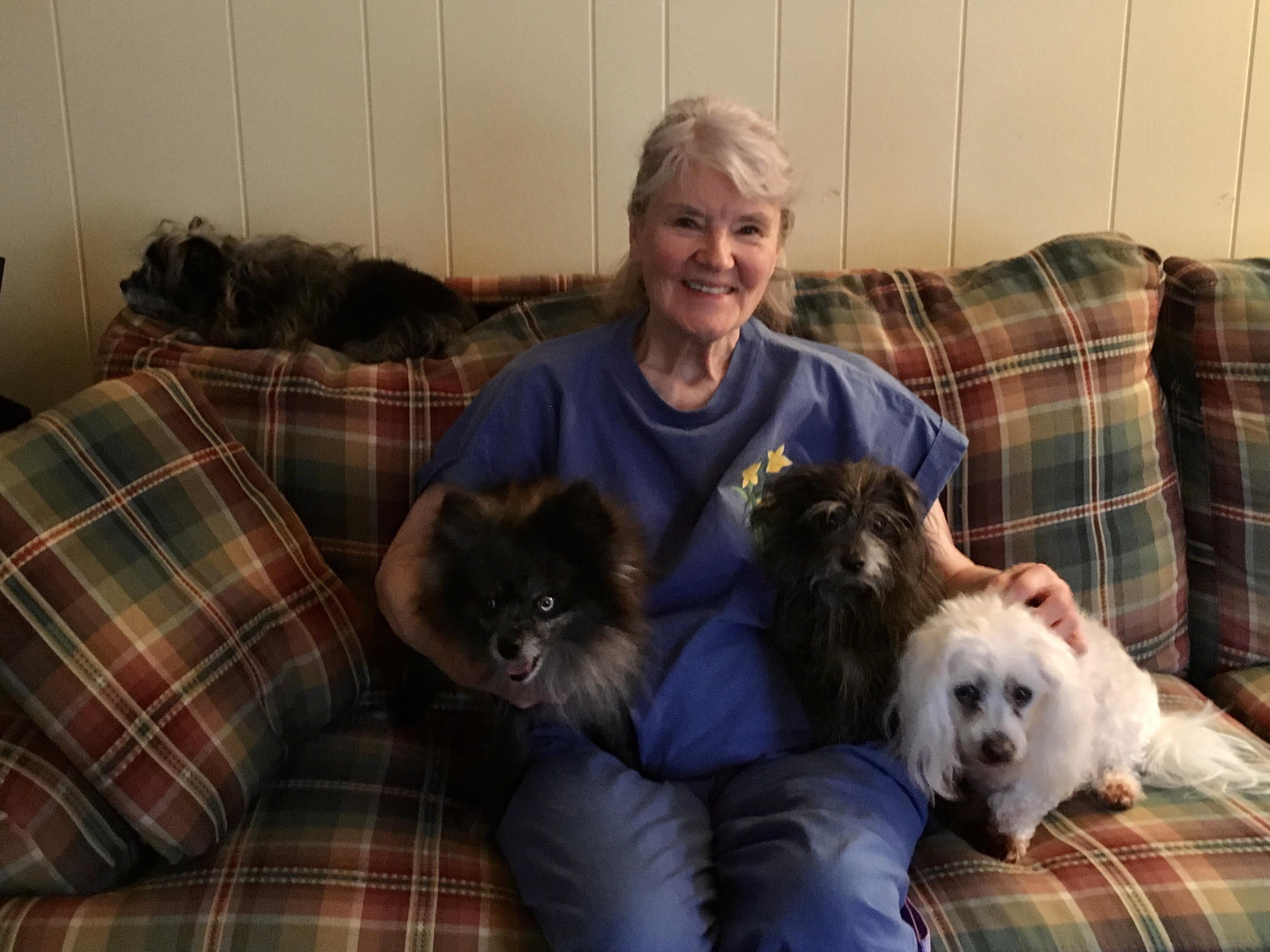 Enlarge Autumn, a Adopted Pomeranian in Virginia Beach, VA image 2/6