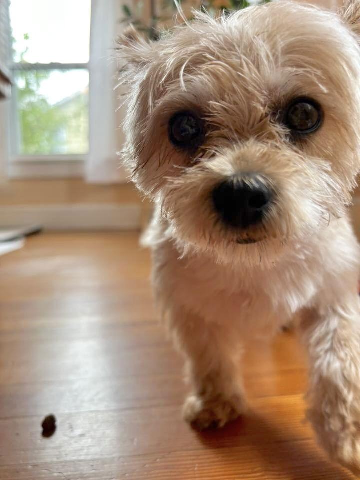 Baby Doll thumbnail 3