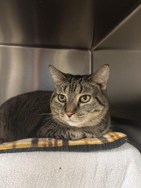 Lilly — thumbnail 5