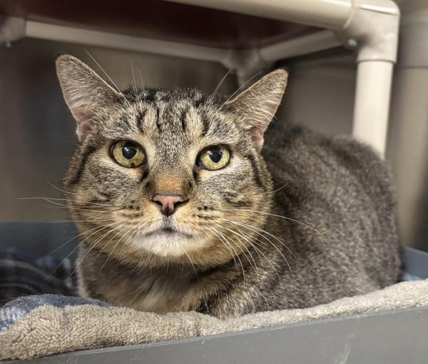 Lilly — thumbnail 6