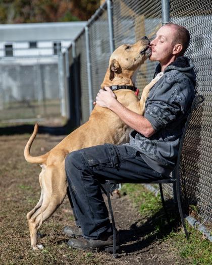 Enlarge Spencer, a Adoptable Mixed Breed in West Chester, PA image 3/3